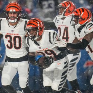 Bengals batter Bills, keep 'proving people wrong'