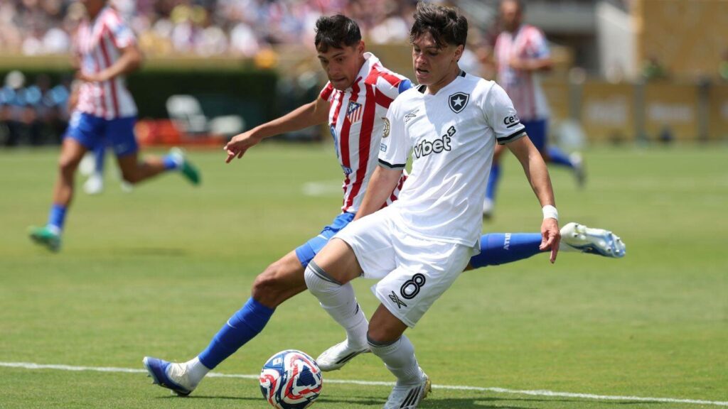 Palmeiras vs. Botafogo prediction, odds, start time, bets: Free 2025 Club World Cup picks for June 28