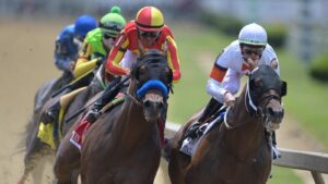 Belmont Stakes 2025 picks, odds: Journalism, Sovereignty, Rodriguez predictions from horse racing expert
