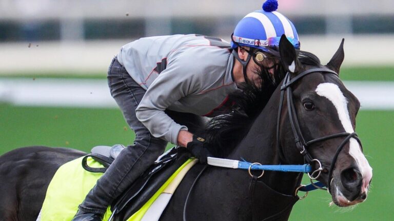 2025 Belmont Stakes horses, odds, entries, date: Expert who nailed Derby, Preakness gives picks, predictions