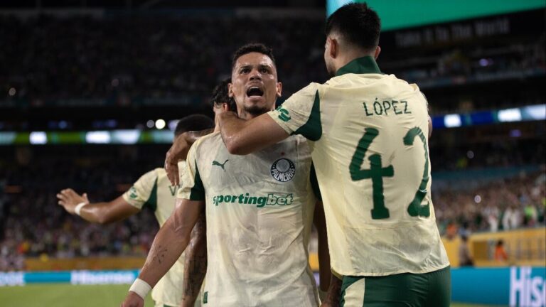 Palmeiras vs. Botafogo live stream, how to watch Club World Cup, prediction: Pick, odds, lineups, team news