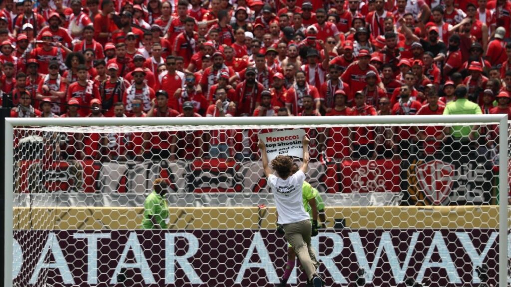 Club World Cup match interrupted by animal-rights activists targeting Morocco's treatment of stray animals