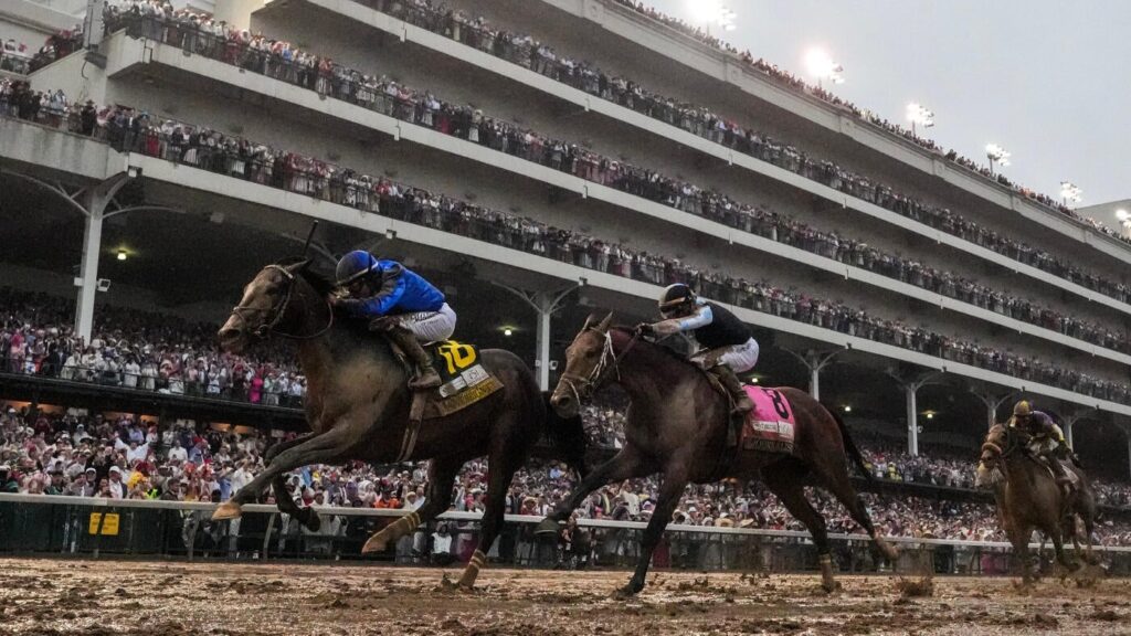 Sovereignty profile: 2025 Belmont Stakes odds, post position, history and more to know