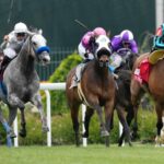 2025 Prince of Wales’s Stakes best bets, picks, time: Racing insider reveals top predictions for Wednesday