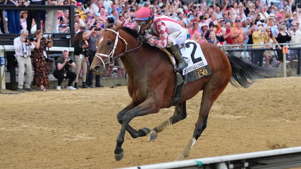 2025 Haskell Stakes sleepers, free advice, odds: Top longshot picks for Monmouth Park with Journalism in field