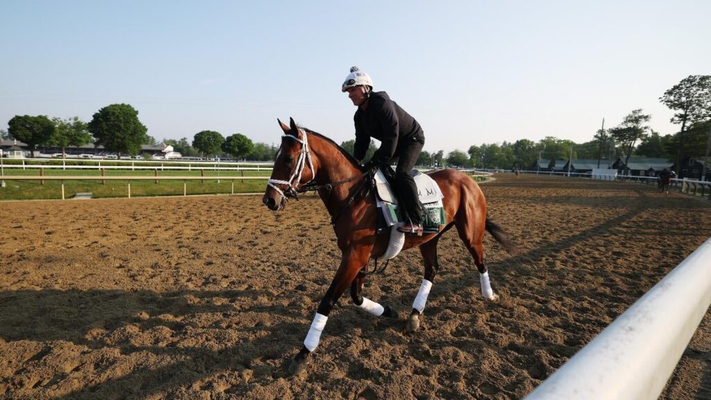 Haskell Stakes 2025 predictions, odds, picks, time: Best bets by horse racing expert who hit Kentucky Derby