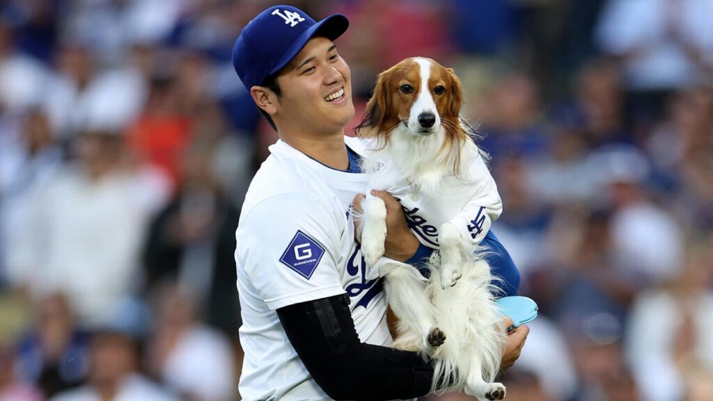 Dodgers' Shohei Ohtani announces children's book starring his dog Decoy