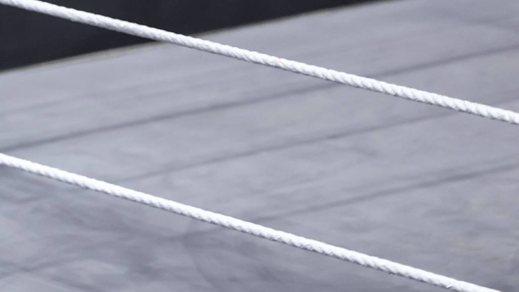 Wrestler Syko Stu released from hospital, recovering at home after in-ring attack from Raja Jackson