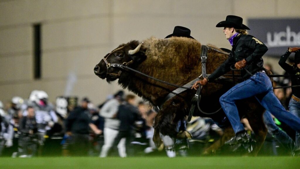 Colorado retires Ralphie VI due to 'an indifference to running,' will not have a live mascot to start 2025