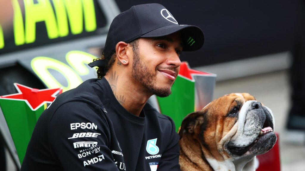 Roscoe, Formula 1 star Lewis Hamilton's beloved dog, dies after pneumonia battle