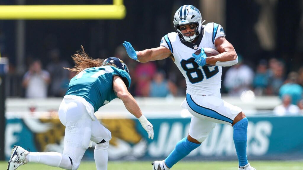 Panthers vs. Jaguars paused for weather delay during second quarter