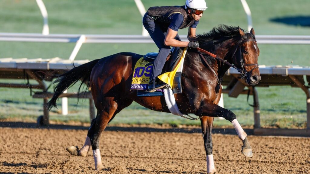 Breeders' Cup Classic 2025 predictions, odds, picks, time: Best bets from elite horse racing expert