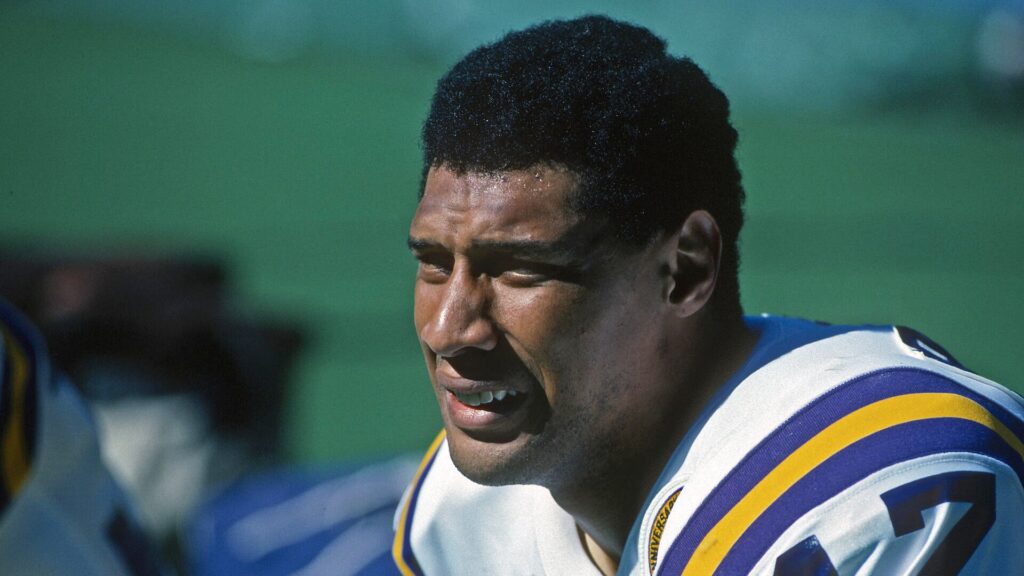 Ex-Vikings star, Ring of Honor member Joey Browner dies at 65