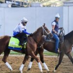 2026 Kentucky Derby predictions, horses, odds, post positions, date: Surprising picks via horse racing expert