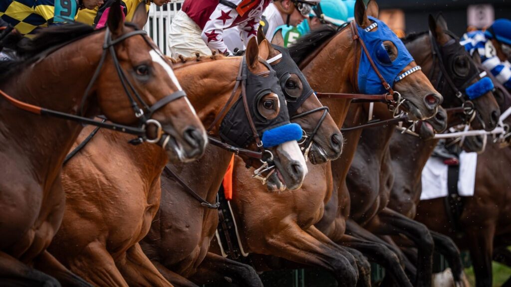 What time does Kentucky Derby start? 2026 Run for the Roses date, location, odds, when horses reach the posts