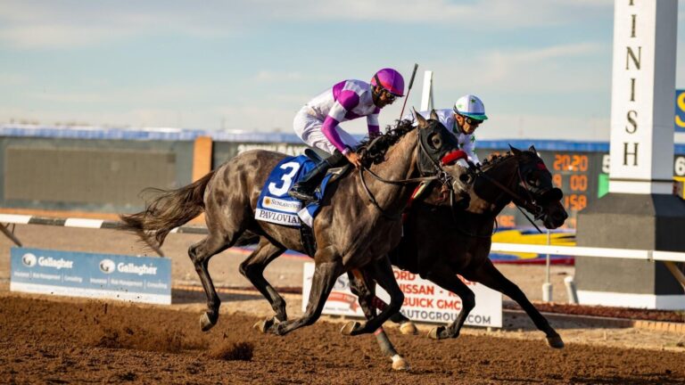 Wood Memorial 2026 predictions, odds, time: Horse racing picks from expert with 65% win rate