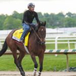 2026 Black-Eyed Susan Stakes horses, odds, predictions, posts: Picks from proven horse racing expert