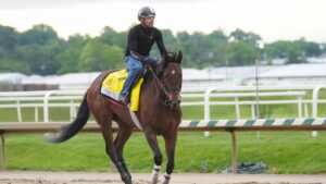 2026 Black-Eyed Susan Stakes horses, odds, predictions, posts: Picks from proven horse racing expert