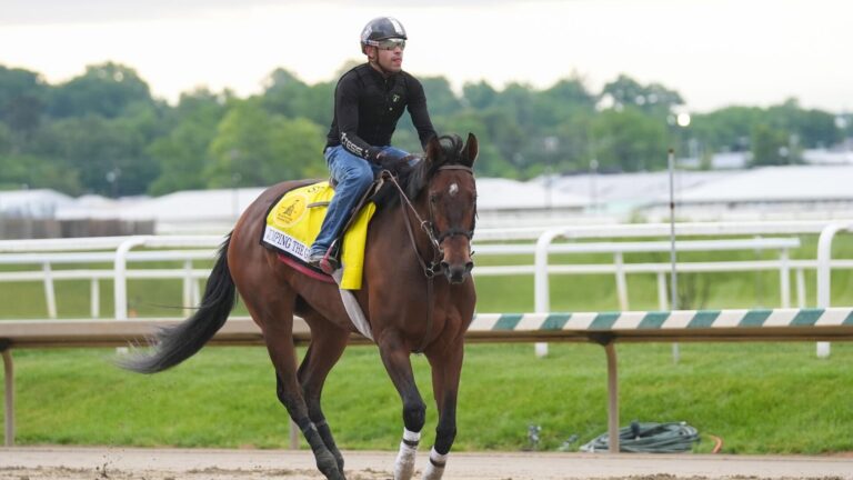 2026 Black-Eyed Susan Stakes horses, odds, predictions, posts: Picks from proven horse racing expert