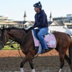 2026 Preakness Stakes predictions, odds, field, contenders: Picks from premier horse racing expert