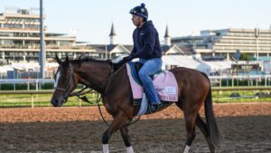 2026 Preakness Stakes predictions, odds, field, contenders: Picks from premier horse racing expert