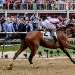 Bull by the Horns profile: 2026 Preakness Stakes odds, post position, history and more to know