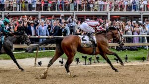 Bull by the Horns profile: 2026 Preakness Stakes odds, post position, history and more to know