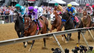 How to bet on the Preakness Stakes: Betting guide, odds, picks, tips, promos, offers, jockeys at Laurel Park