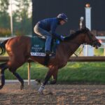 Preakness Stake 2026 odds, posts, date: Iron Honor, Taj Mahal, Incredibolt predictions via top expert