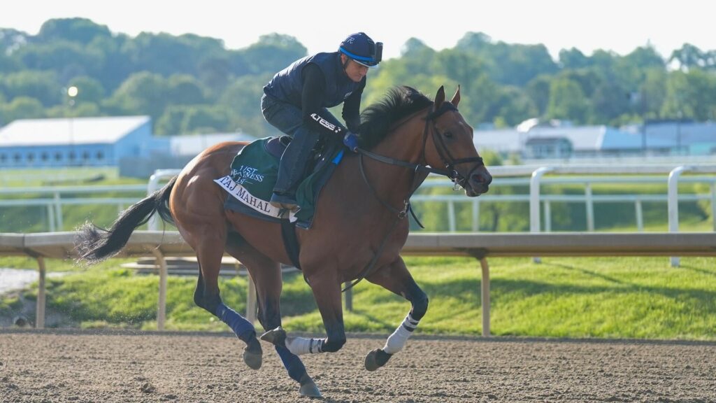 2026 Preakness Stakes: How the race will play out, and what horses will benefit