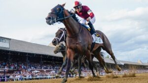 How to bet on the 2026 Belmont Stakes: Betting guide, odds, picks, predictions, promos, start time at Saratoga