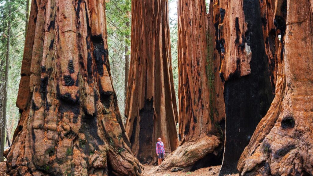 How to Give Yourself a Professional Edge While Supporting Sustainability in the Outdoor Industry
