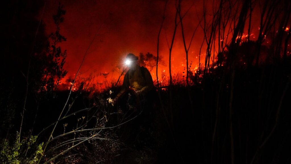 Could You Survive a Wildfire? 10 Lessons from Veteran Firefighters That Could Save Your Life.