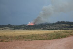 A Lightning Strike Ignited a Wyoming Forest. Minutes Later, 20 Campers Were Fleeing for Their Lives.