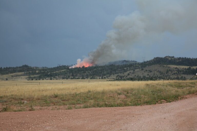 A Lightning Strike Ignited a Wyoming Forest. Minutes Later, 20 Campers Were Fleeing for Their Lives.