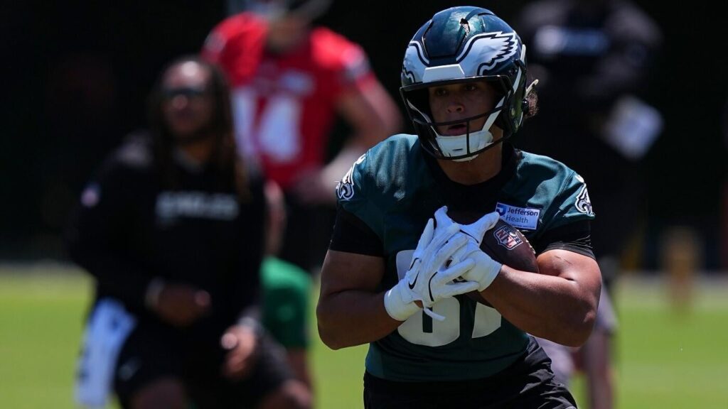 Ranking top five rookie tight ends by projected 2026 NFL production