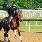 2026 Haskell Stakes predictions, horses, odds, post positions: Surprising picks from elite racing expert