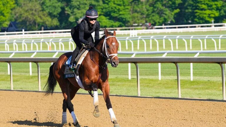 2026 Haskell Stakes predictions, horses, odds, post positions: Surprising picks from elite racing expert