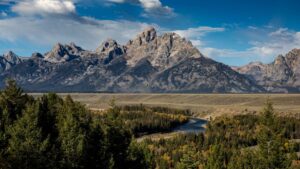 “Disheveled and Scared.” Two Brothers’ Bear Encounter Ends in a Backcountry Rescue Near Grand Teton.