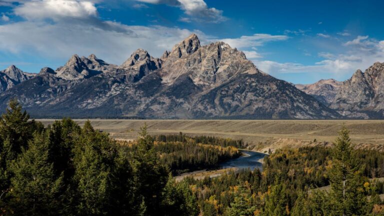 “Disheveled and Scared.” Two Brothers’ Bear Encounter Ends in a Backcountry Rescue Near Grand Teton.