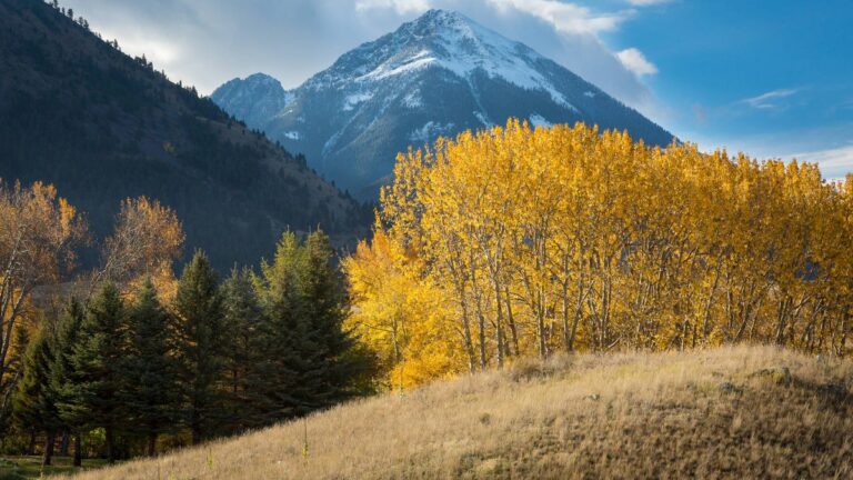 Inside Big Sky’s First Food and Wine Festival Coming to Montana This Fall