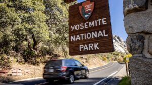 A Watchdog Says Yosemite Is Using Flock Cameras. The National Park Service Is Pushing Back.