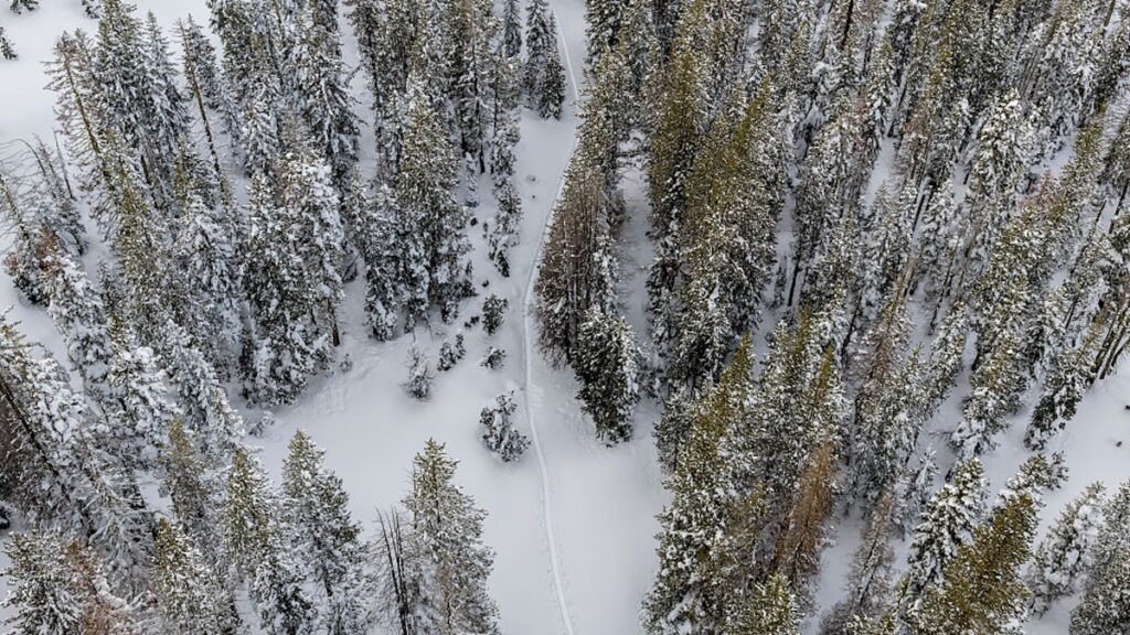 A Guiding Company Faces Hefty Fines After the Deadly Tahoe Avalanche