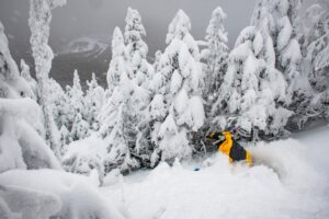 The Farmers’ Almanac Says This Winter Could Be a Wild Ride for Skiers
