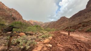 The Grand Canyon Was Rocked by a Flash Flood. One Person Is Dead and More than 20 Hikers Are Still Missing.