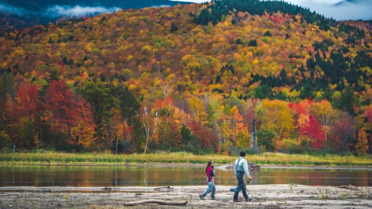Exactly When the Leaves Will Change This Year, According to the Farmers’ Almanac