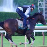 2026 Travers Stakes predictions, horses, odds, post positions: Surprising picks from elite racing expert