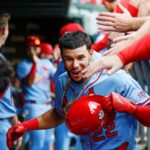 Cardinals vs. Reds Game 1 prediction, odds, line, time: 2026 MLB picks for Monday, Aug. 17 by proven model