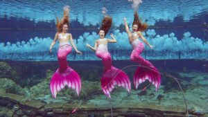 Learning How to Be a Real Mermaid With Florida’s Legendary Weeki Wachee Sirens
