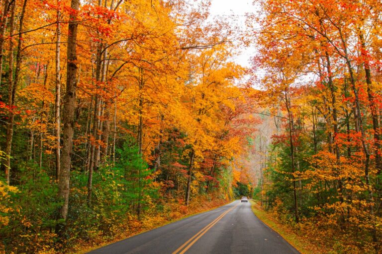 12 Best National Parks for Stunning Fall Colors—and When They Peak